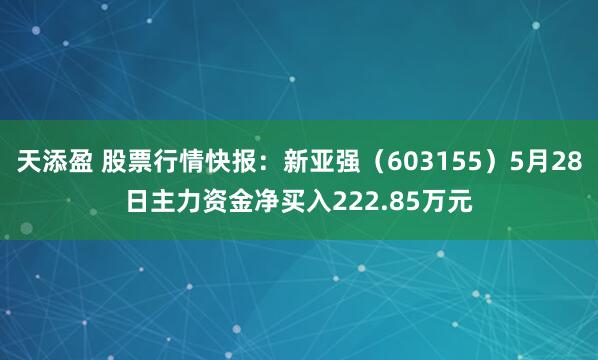 天添盈 股票行情快报：新亚强（603155）5月28日主力资金净买入222.85万元