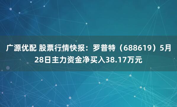 广源优配 股票行情快报：罗普特（688619）5月28日主力资金净买入38.17万元