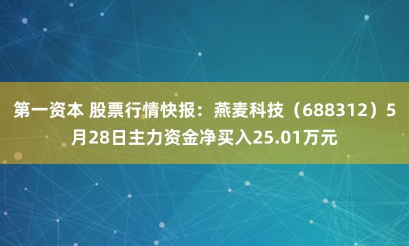 第一资本 股票行情快报：燕麦科技（688312）5月28日主力资金净买入25.01万元