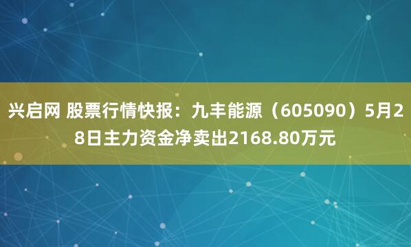 兴启网 股票行情快报：九丰能源（605090）5月28日主力资金净卖出2168.80万元