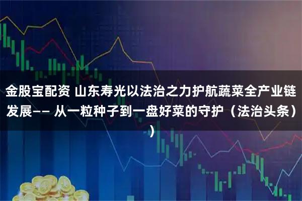 金股宝配资 山东寿光以法治之力护航蔬菜全产业链发展—— 从一粒种子到一盘好菜的守护（法治头条）