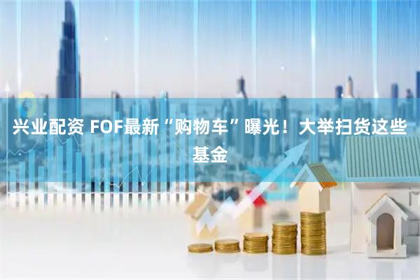 兴业配资 FOF最新“购物车”曝光！大举扫货这些基金